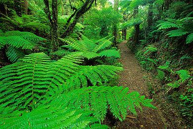 《THYSIASTERY》Steam上线 复古迷宫探索RPG